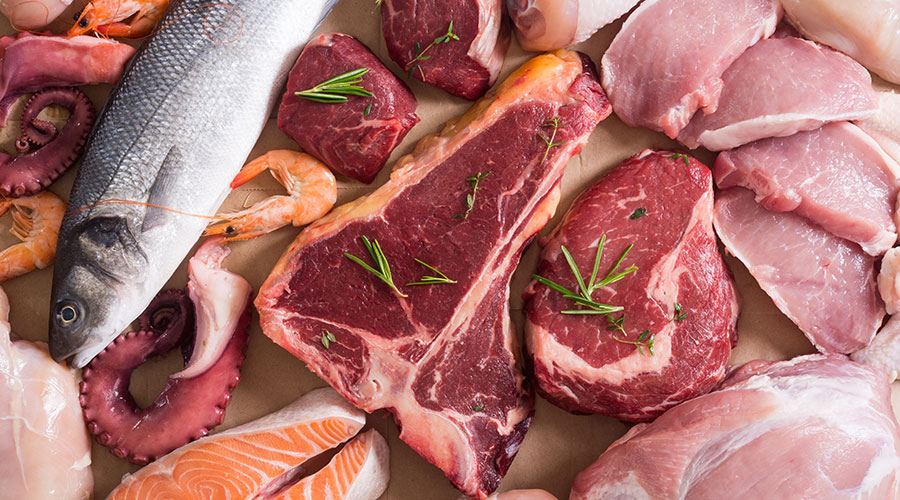 Sanaky Zam Zam Water Purifier